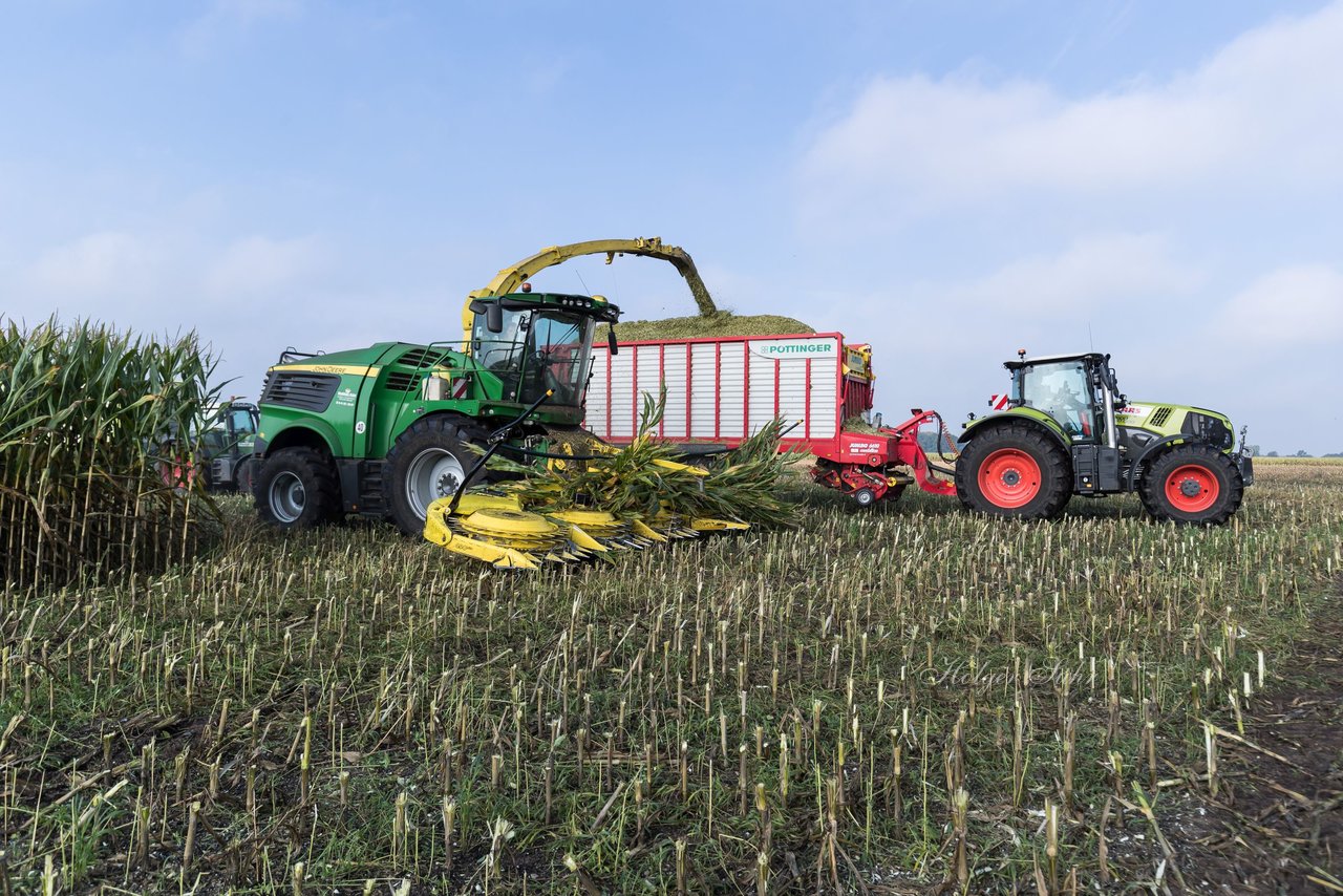 Bild 147 - Maisernte